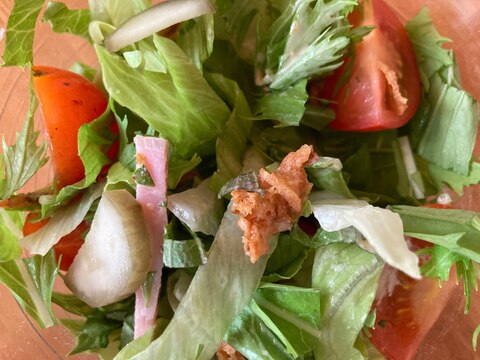 レタスと水菜とハムとトマトときゅうりのサラダ